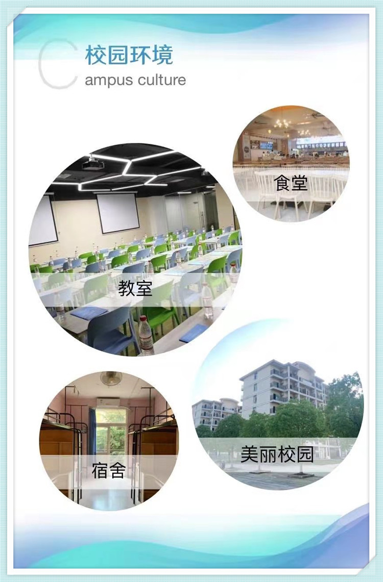 六台盒宝典资料大全2024
