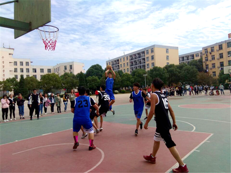 六台盒宝典资料大全2024