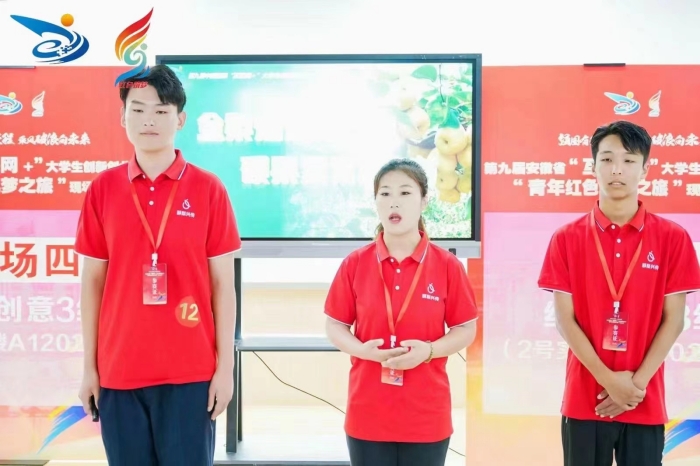 六台盒宝典资料大全2024