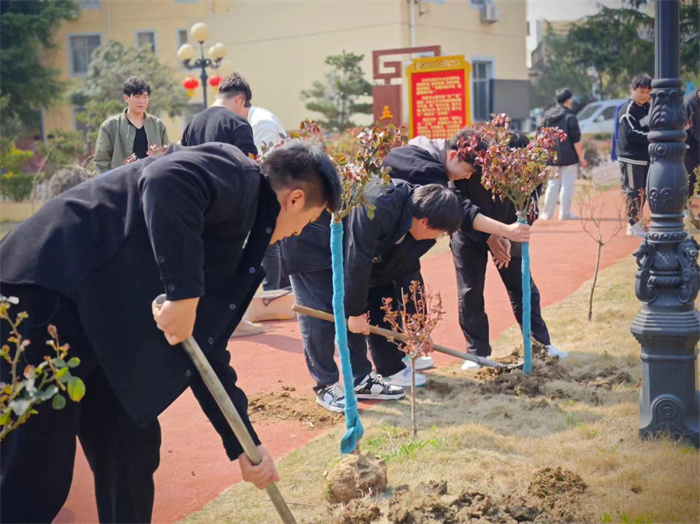 六台盒宝典资料大全2024