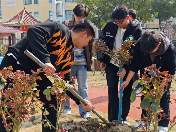 六台盒宝典资料大全2024