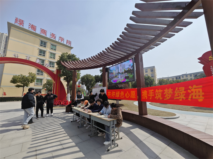 六台盒宝典资料大全2024