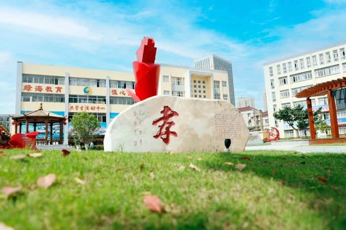 六台盒宝典资料大全2024