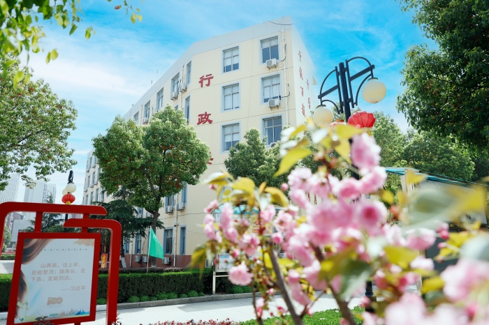 六台盒宝典资料大全2024