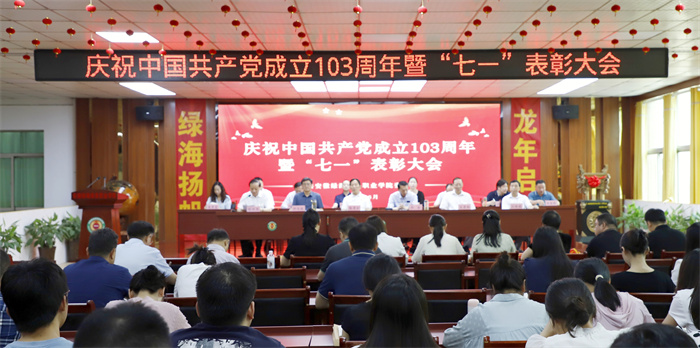 六台盒宝典资料大全2024