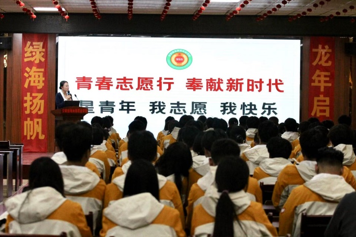 六台盒宝典资料大全2024
