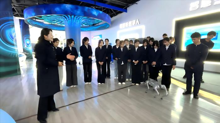 六台盒宝典资料大全2024