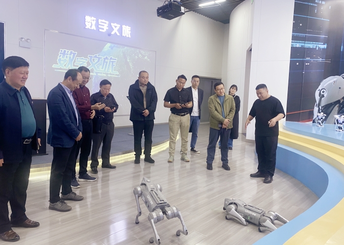 六台盒宝典资料大全2024