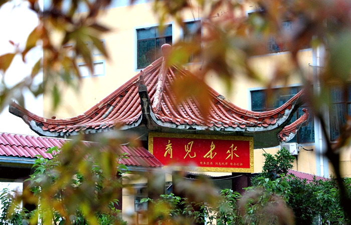 六台盒宝典资料大全2025