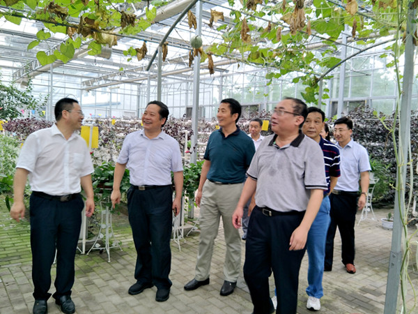 六台盒宝典资料大全2024